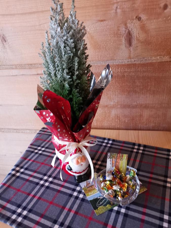 Pokoje Goscinne Pod Limbami Ciche Małe Kültér fotó